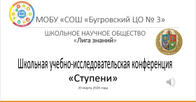 Прошла учебно-исследовательская конференция «Ступени».